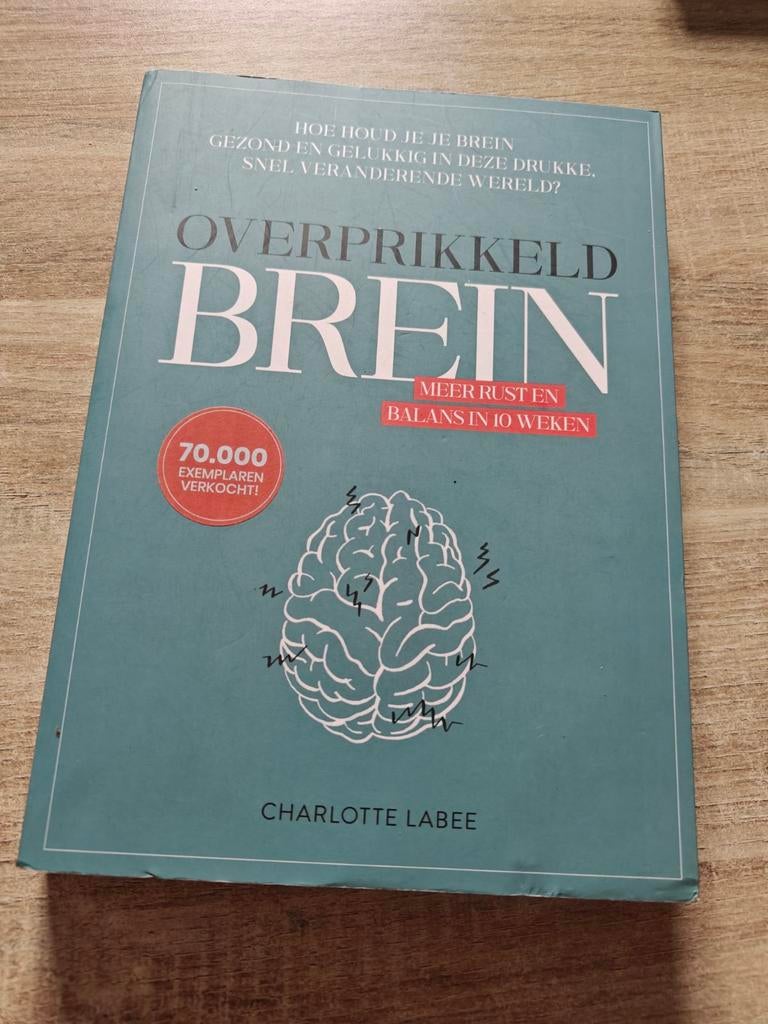 Charlotte Labee - Overprikkeld brein, Ophalen of Verzenden, Zo goed als nieuw, Charlotte Labee