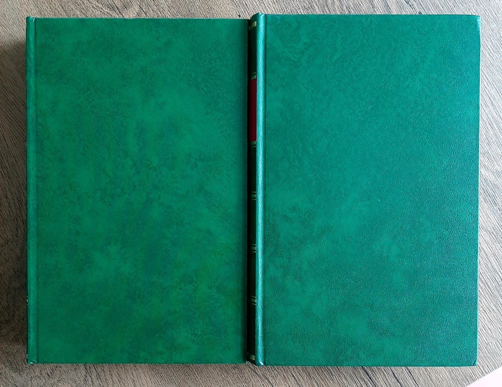 Homerus: Ilias en Odyssee, Boeken, Ophalen of Verzenden, Gelezen, Homerus, Nederland