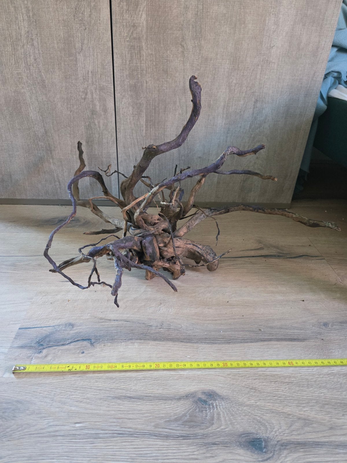 spiderwood, Ophalen