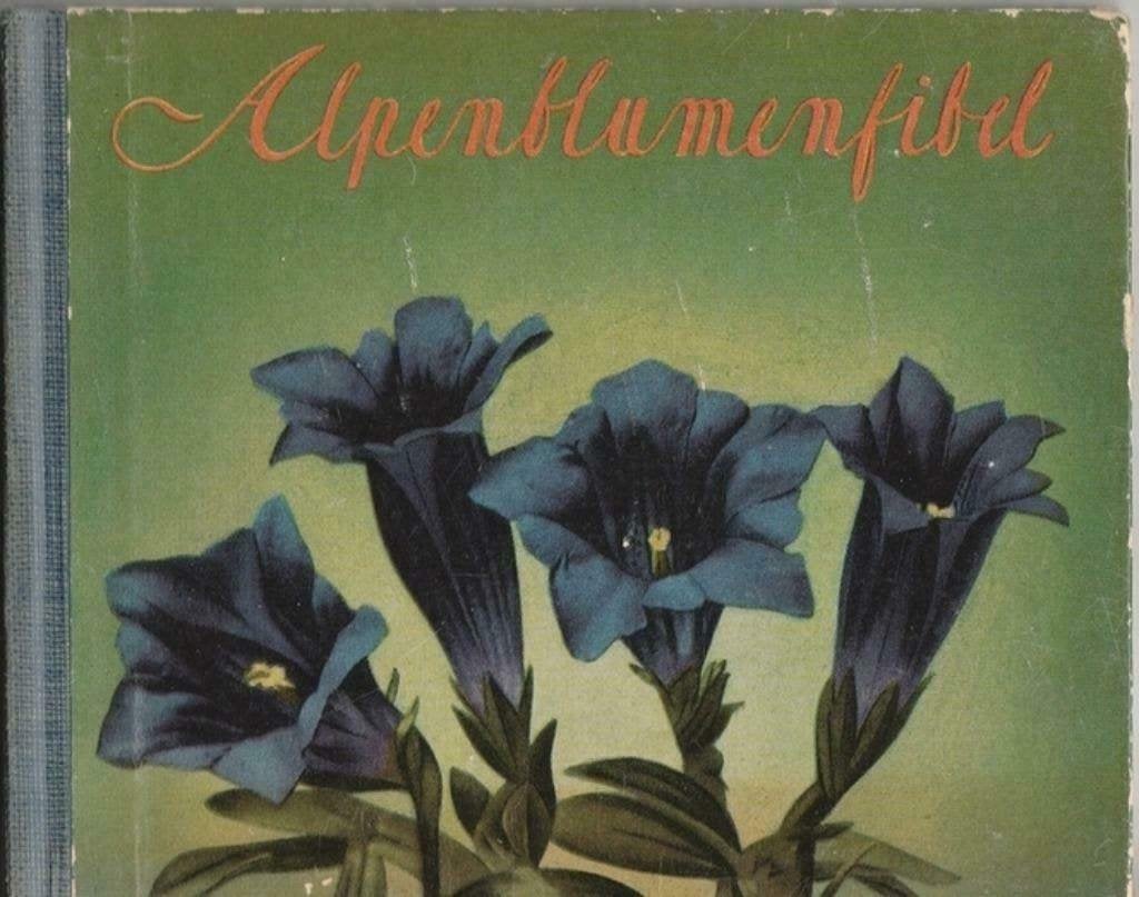 Alpenblumenfibel - Dr. Walter Amstut(1953)^^, Verzenden, Dr. Walter Amstut