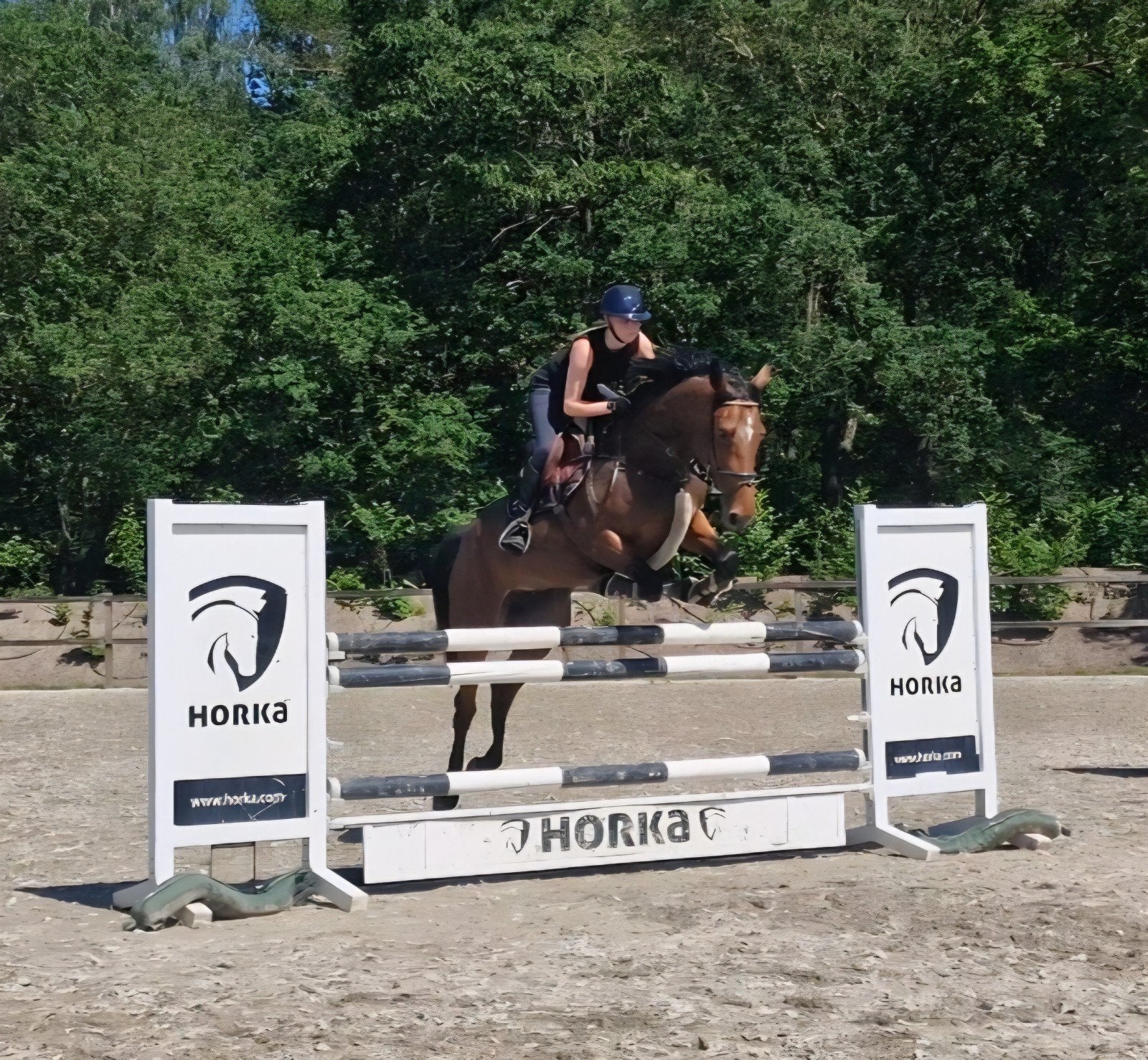 Goedgekeurde spring/eventingmerrie 6jr Verdi x Mr.Blue, Dieren en Toebehoren, Paarden, Merrie