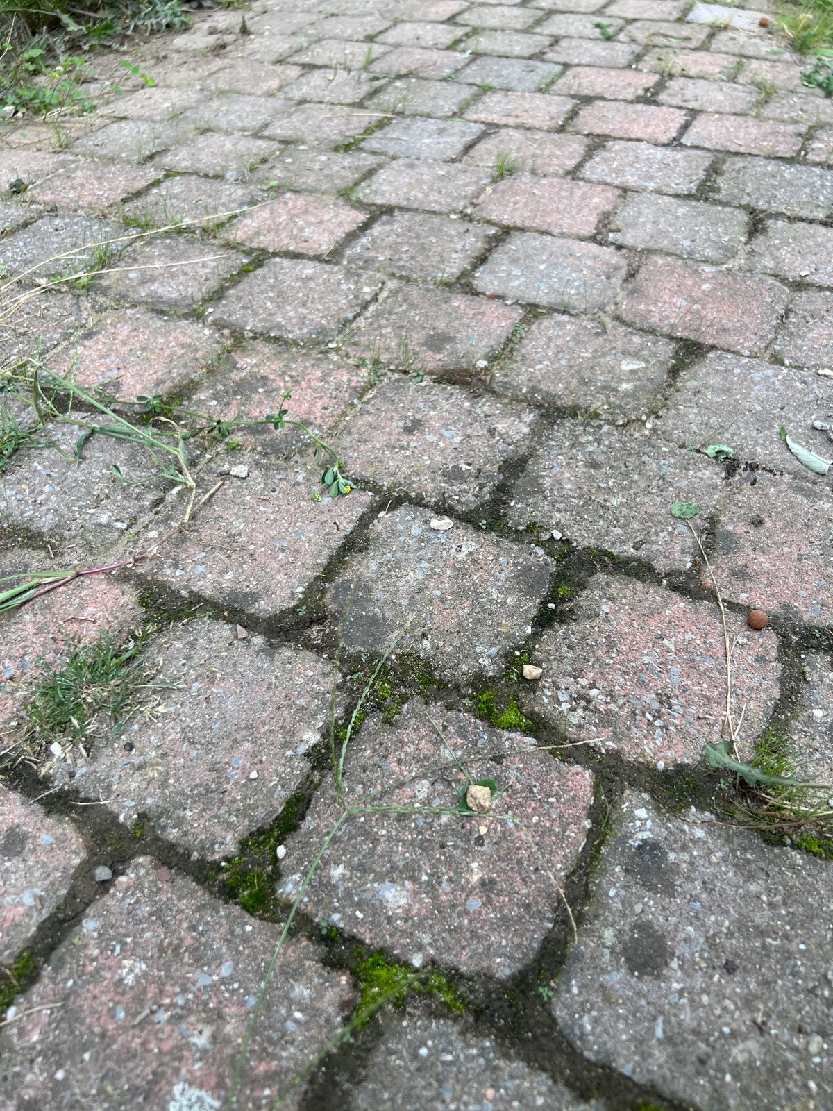 Gebruikte koppelstones, Ophalen, Gebruikt, Klinkers, 10 m² of meer