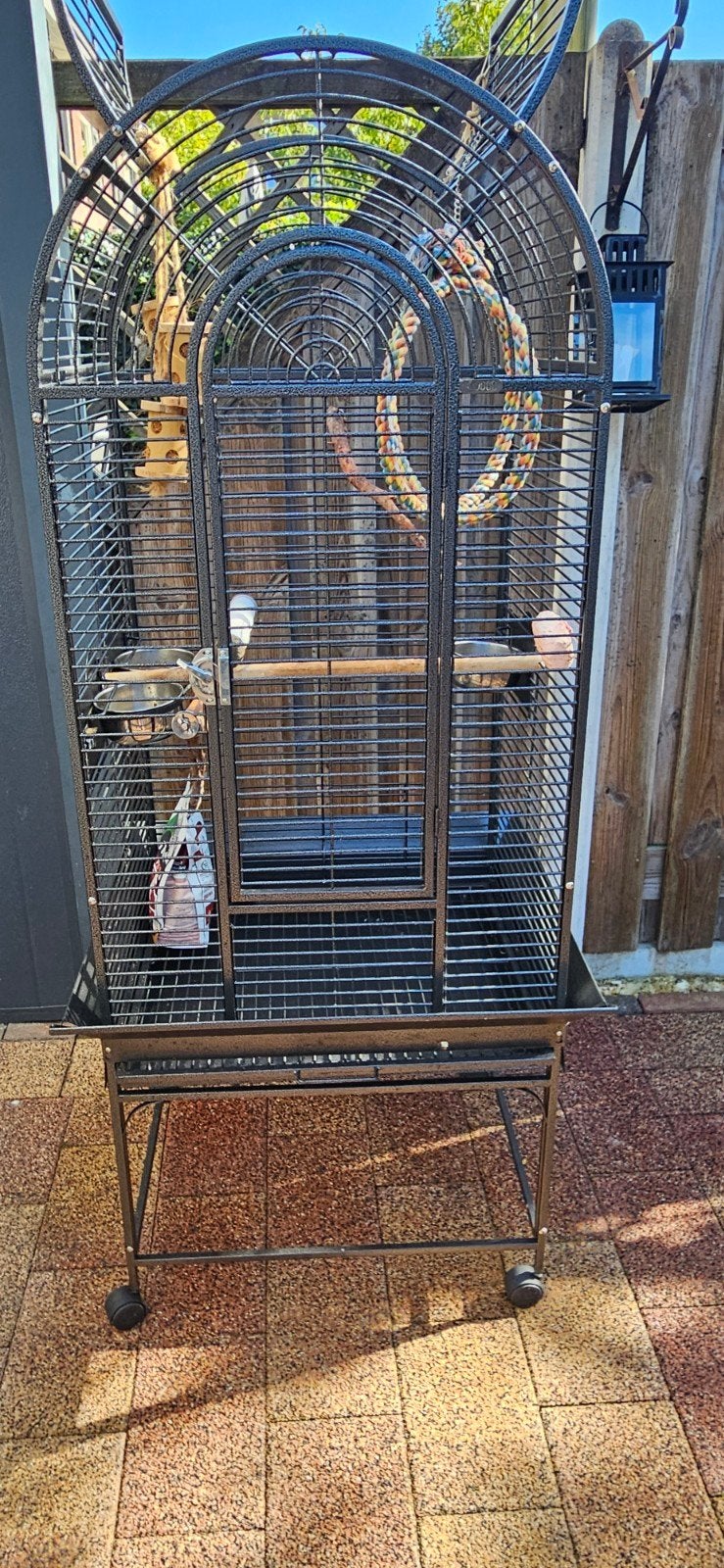 grote papegaai kooi, Ophalen, Zo goed als nieuw, Metaal, Vogelkooi