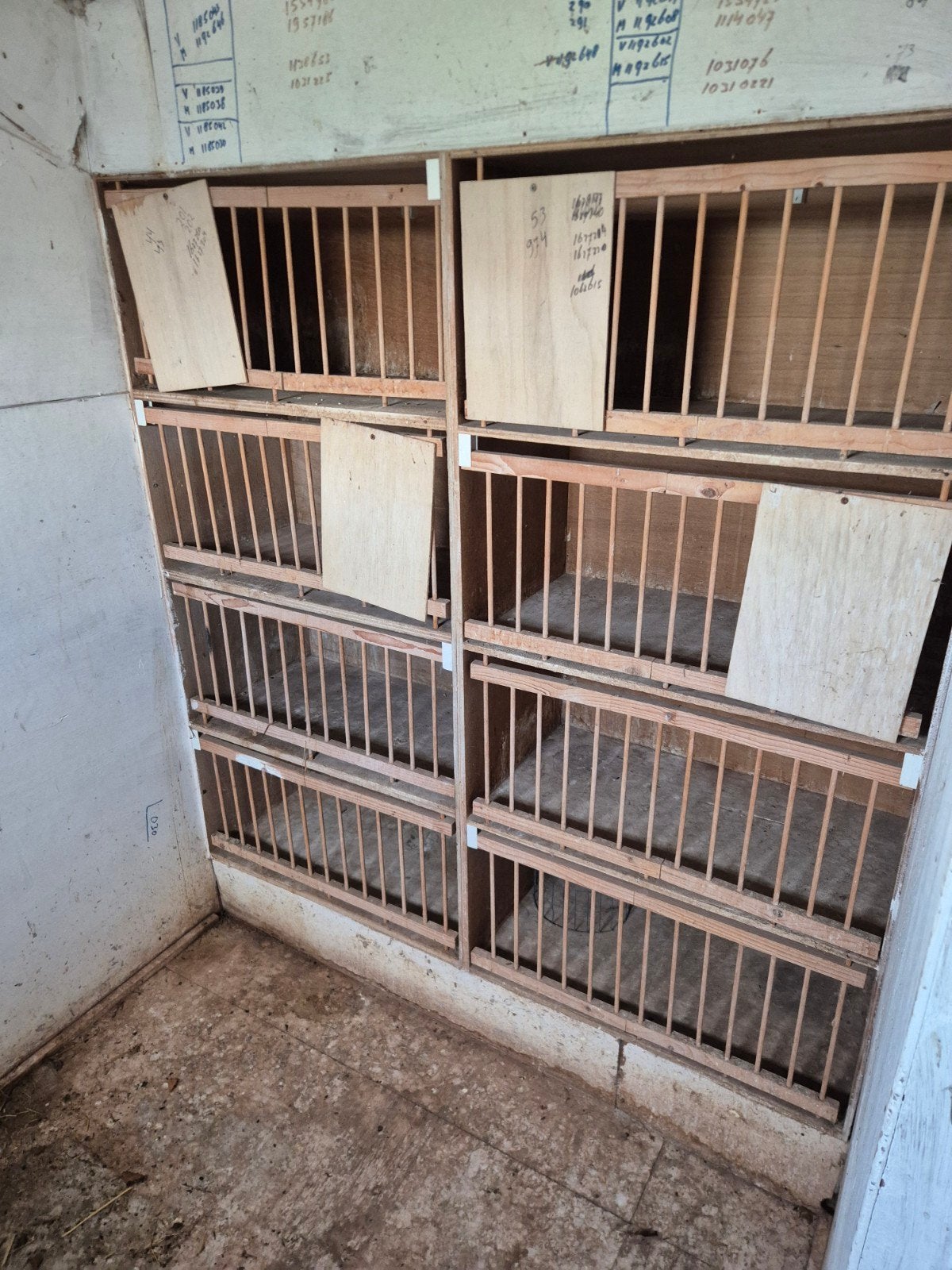 duiven hokken, Dieren en Toebehoren, Ophalen, Hout, Broedkooi of Kweekkooi