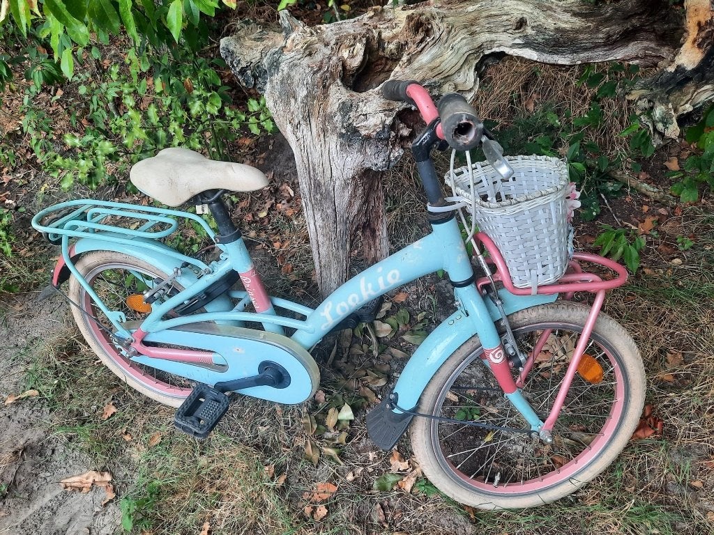 Kinderfietsen, Ophalen, Gebruikt, 16 tot 20 inch, Loekie
