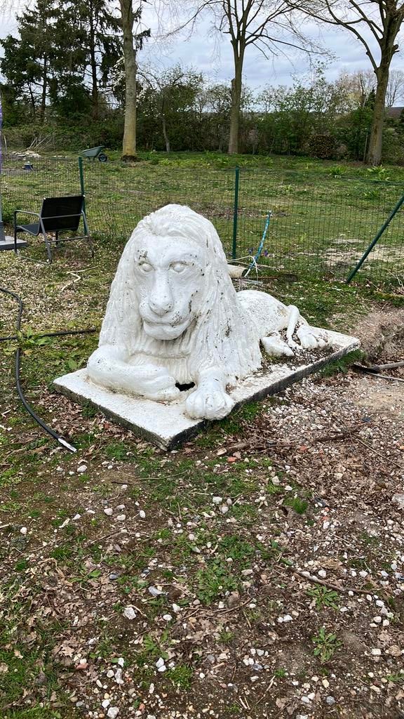 Grote betonnen leeuw., Ophalen, Gebruikt, Dierenbeeld