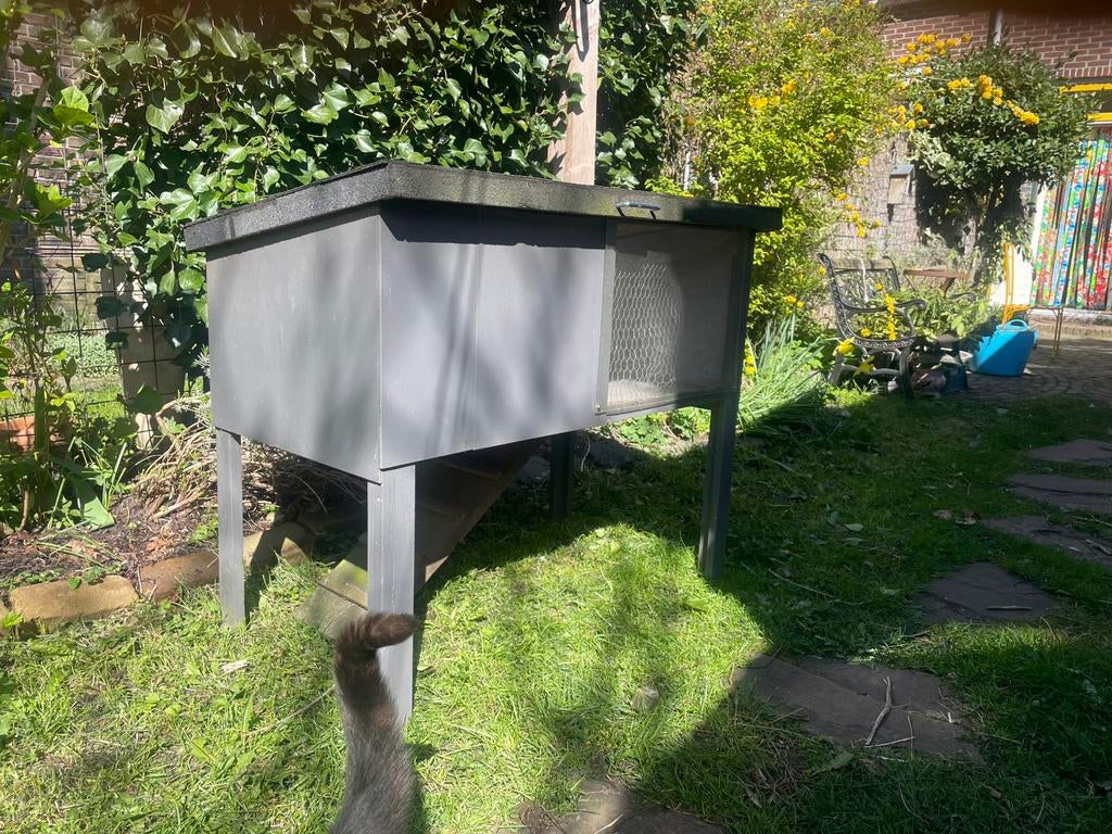 Konijnenhok zelfgemaakt, Dieren en Toebehoren, Knaagdieren en Konijnen | Hokken en Kooien, Ophalen, Gebruikt, 90 cm of meer, Konijn