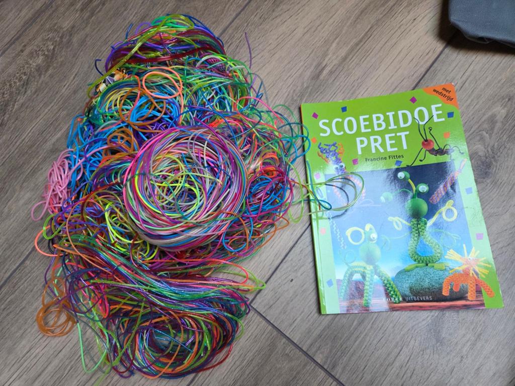 Scoebidoe touwtjes incl boek, Ophalen of Verzenden, Overige typen