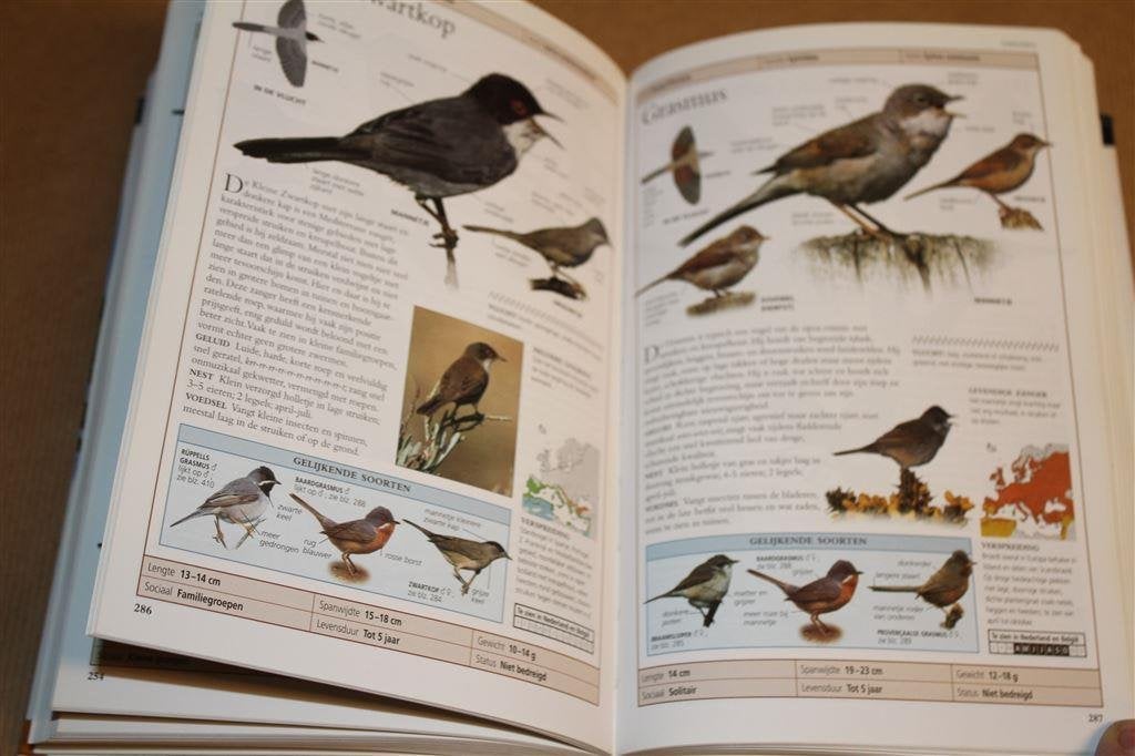 Vogels van Europa. Vliegpatronen - Nestgedrag..., Ophalen of Verzenden, Gelezen, Vogels