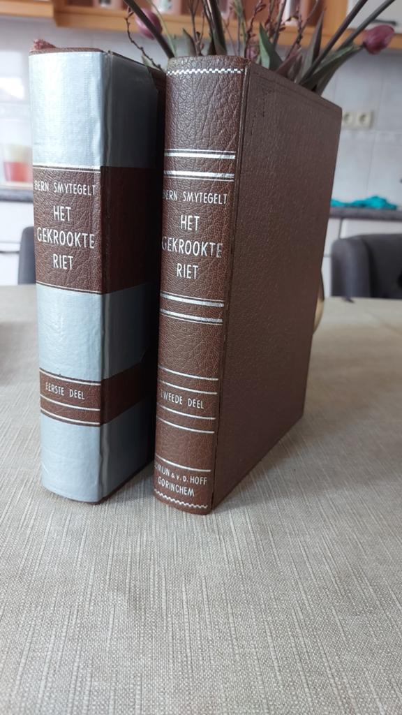 Het Gekrookte Riet - Bernardus Smytegelt (2 delen), Boeken, Ophalen of Verzenden, Gelezen, Bernardus Smytegelt, Christendom | Protestants
