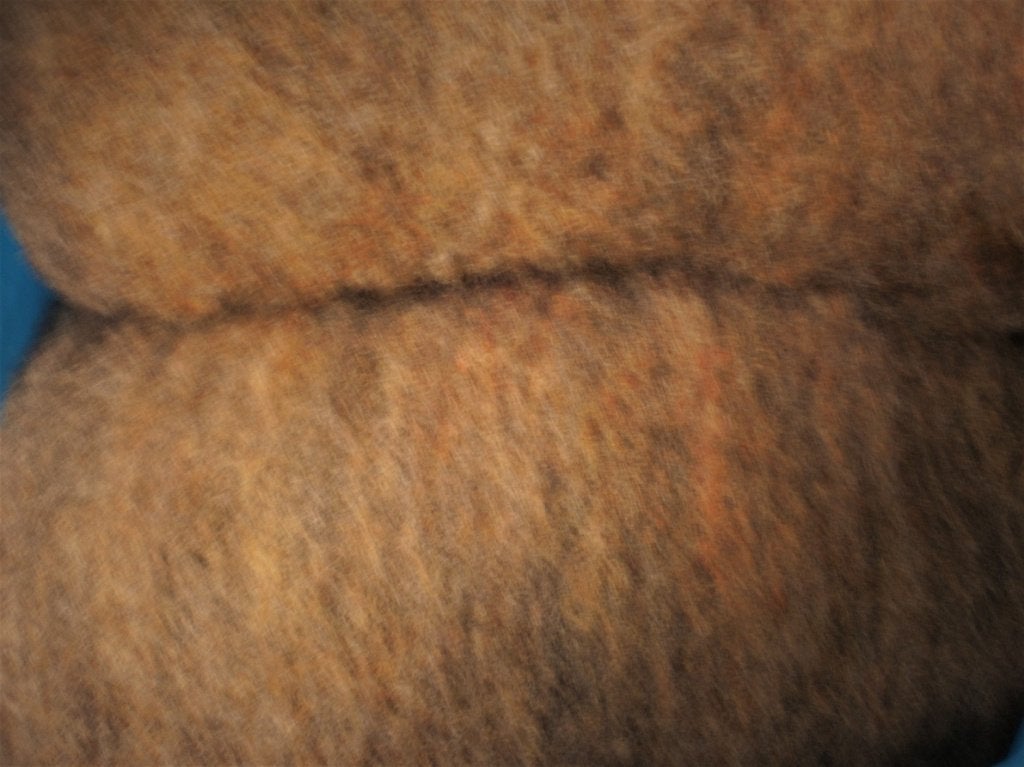 Prachtige geverfde tinten gekaarde schapenwol wol spinnewiel, Hobby en Vrije tijd, Ophalen of Verzenden, Nieuw, Spinwol