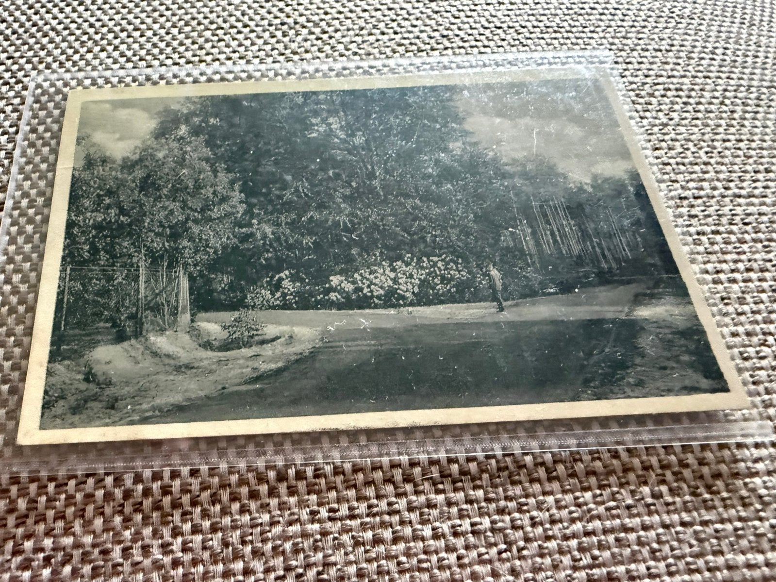 Ansichtkaart Epse Epser Bosch bos, Ophalen of Verzenden, Voor 1920, Overijssel