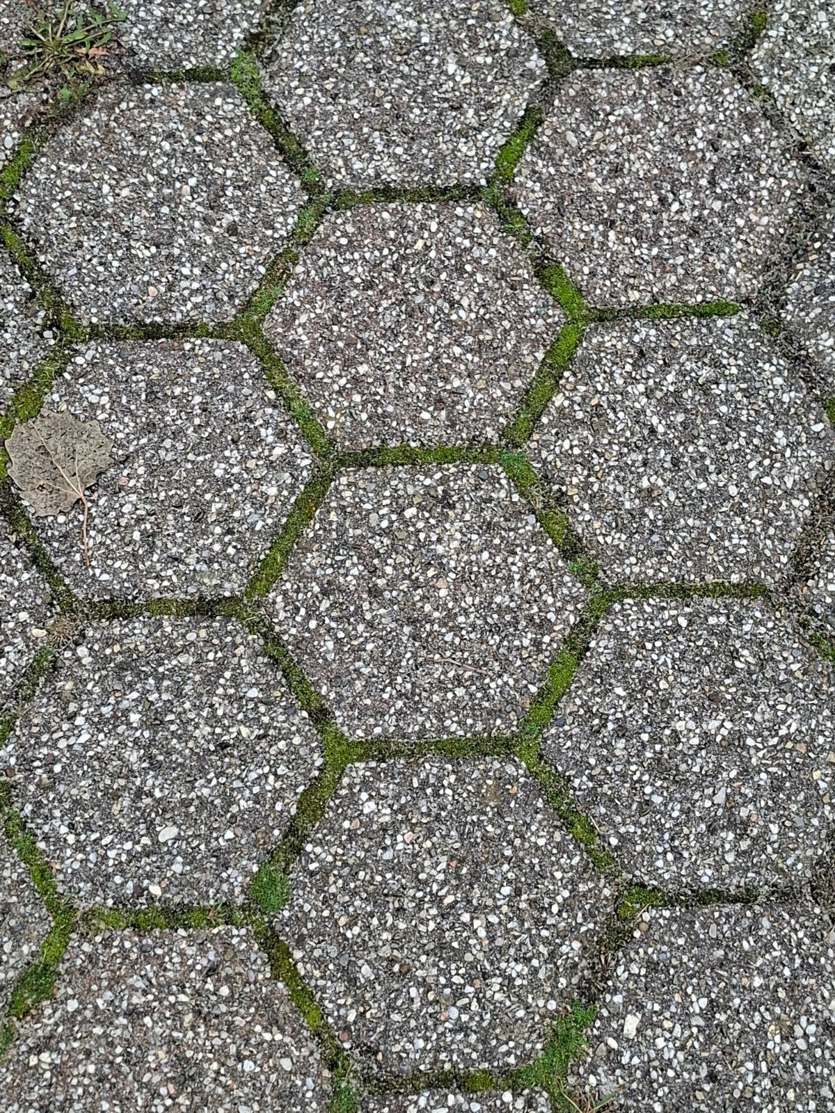 gratis op te halen: gebruikte betonnen terrastegels, zeshoek, Ophalen, Gebruikt, 10 m² of meer, Beton