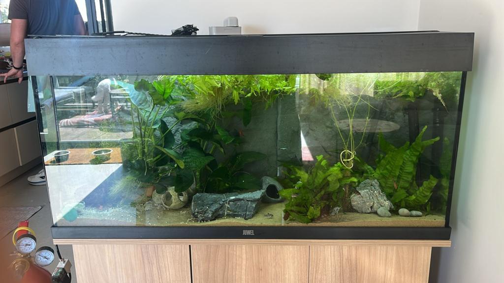 Jewel Aquarium met kast van jewel en pomp en co2 fles., Dieren en Toebehoren, Gebruikt, Overige typen, 75 tot 110 cm, Ophalen