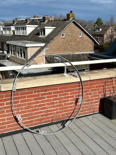 Boomkrans, Bloeit niet, Overige soorten, 100 tot 250 cm, Ophalen