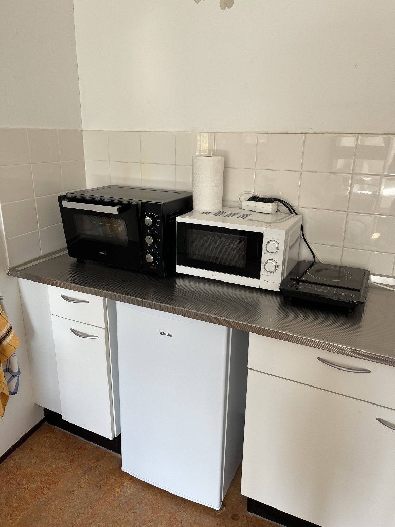 Small Fridge with freezer, Ophalen, Gebruikt, 160 cm of meer, Minder dan 75 liter