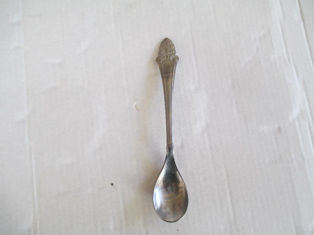 pako meta lepeltje, Ophalen of Verzenden, Gebruikt, Rvs of Chroom