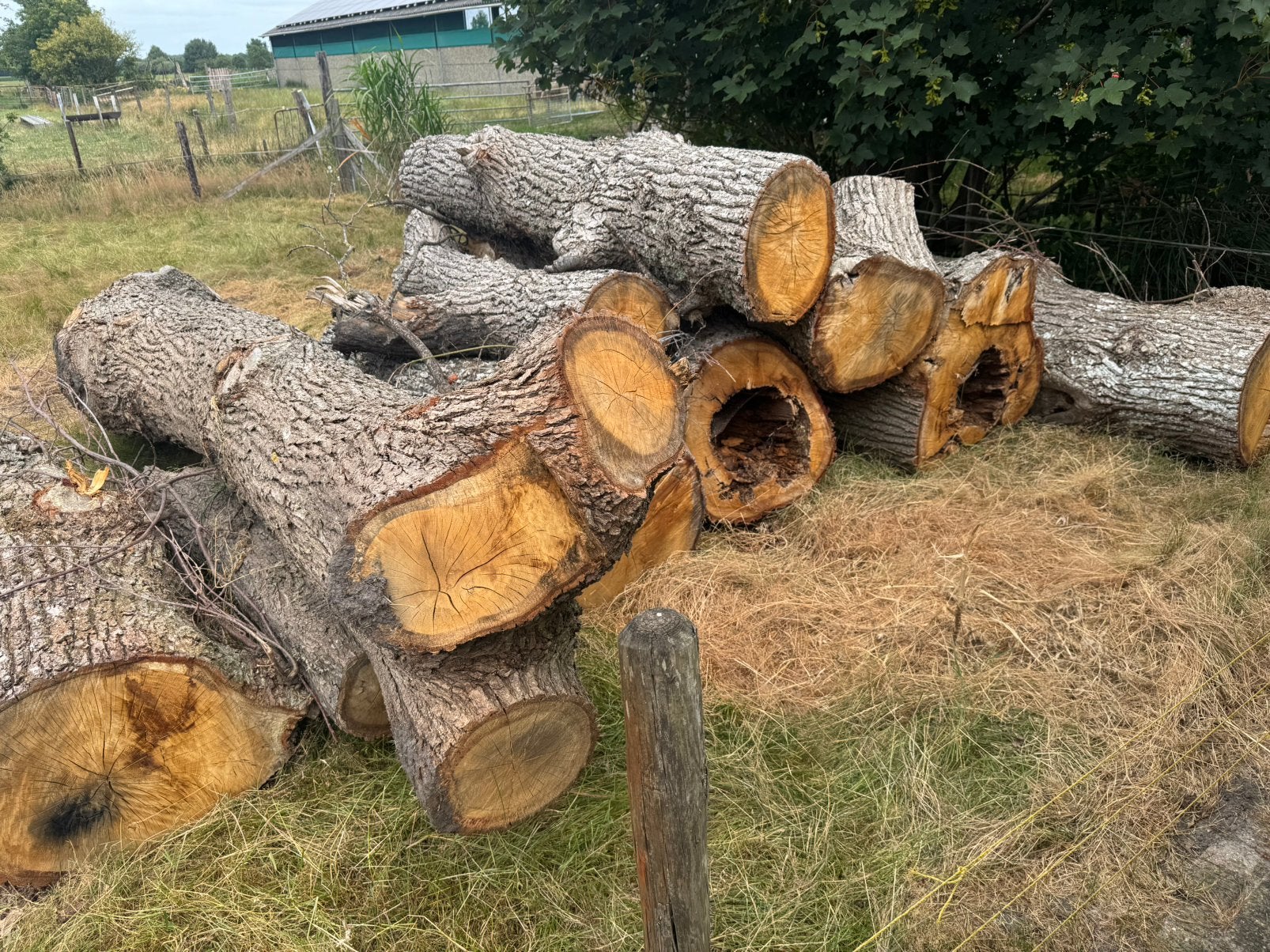 Haardhout eiken, Tuin en Terras, 6 m³ of meer, Ophalen, Eikenhout