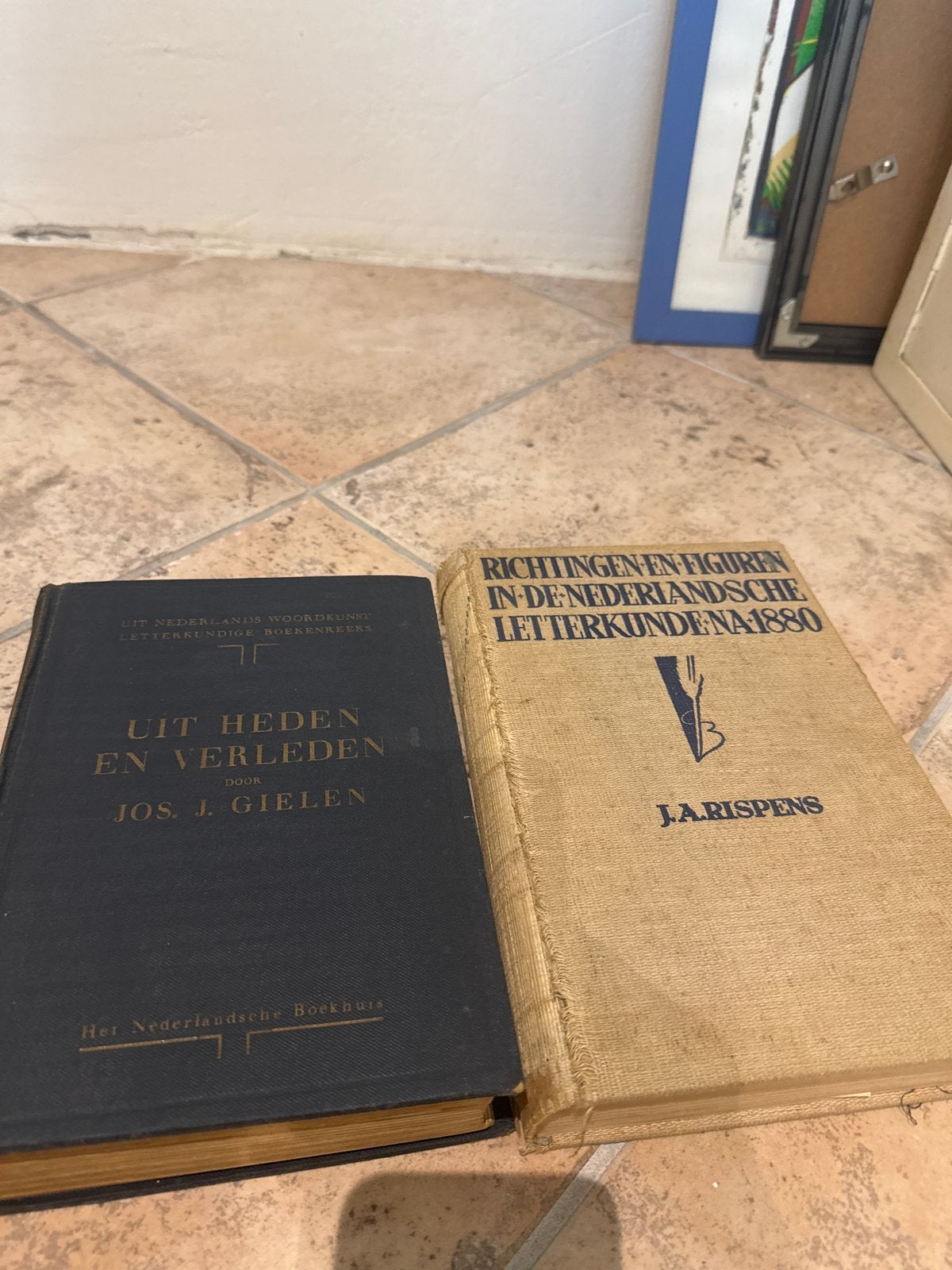 2 Oude Boeken: Nederlandse Letterkunde, Ophalen of Verzenden