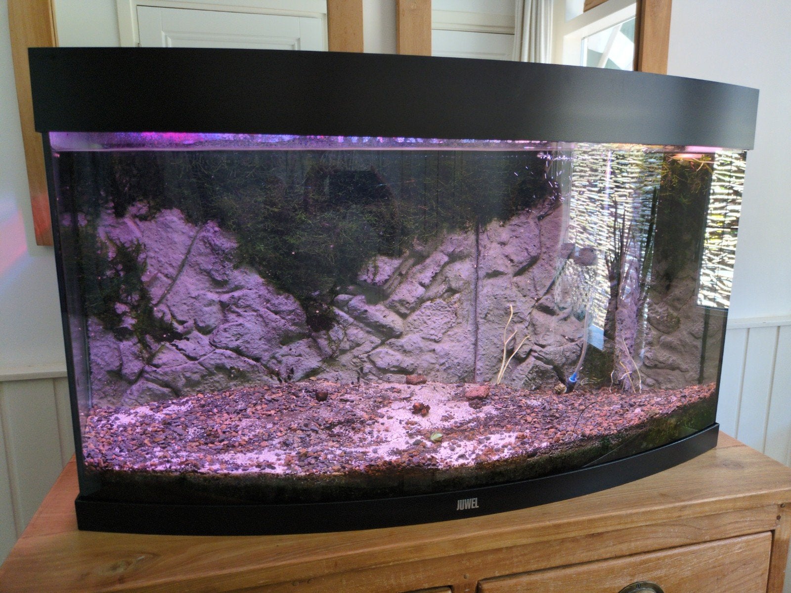 Juwel Vision 180 aquarium en toebehoren, Ophalen, Leeg aquarium