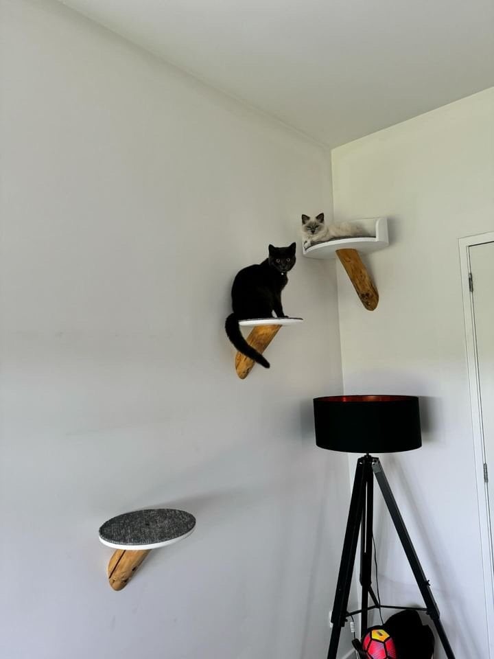 Katten Klim & Relax systeem, Op bestelling handgemaakt., Ophalen of Verzenden, Nieuw