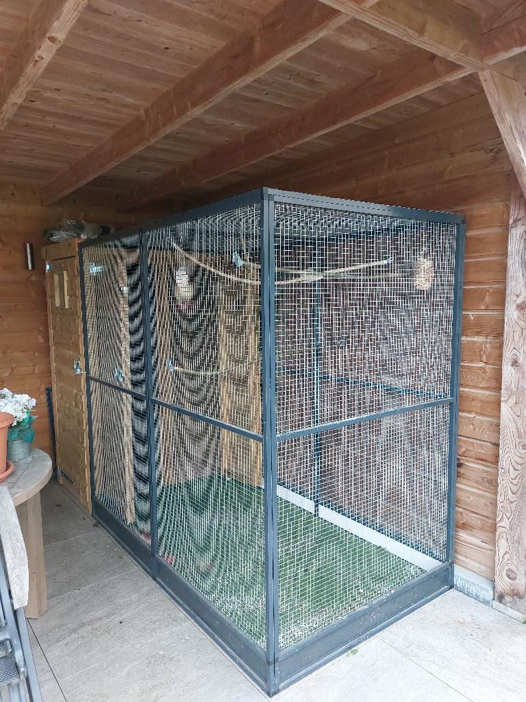 Mooie buitenvolière Voldux, Dieren en Toebehoren, Vogels | Hokken en Kooien, Ophalen, Zo goed als nieuw, Overige materialen, Vogelkooi