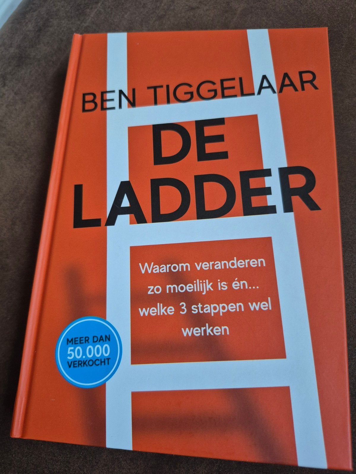 De Ladder - Ben Tiggelaar (Meer dan 50.000 verkocht), Ophalen of Verzenden, Zo goed als nieuw, Ben Tiggelaar, Overige uitgevers