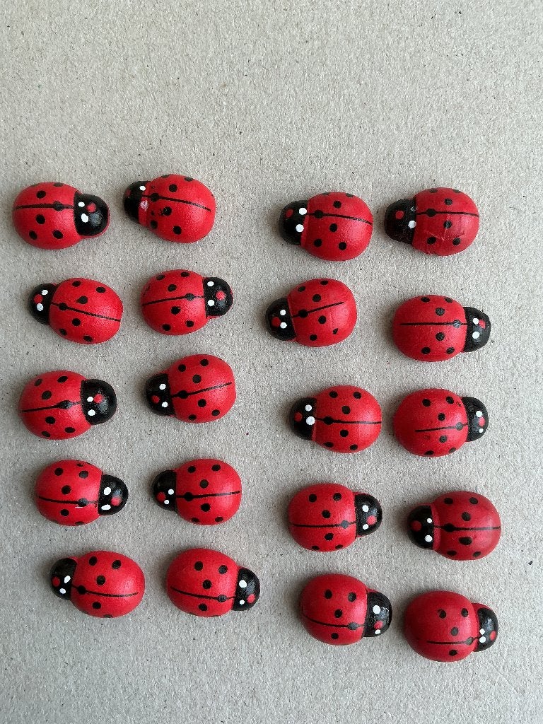 Setje 20 kleine lieveheersbeestjes, Ophalen of Verzenden, Nieuw, Overige thema's, Overige typen