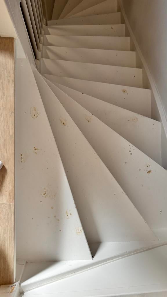 Foto 10 van Professioneel schilderwerk | Houtrestauratie | Airless |