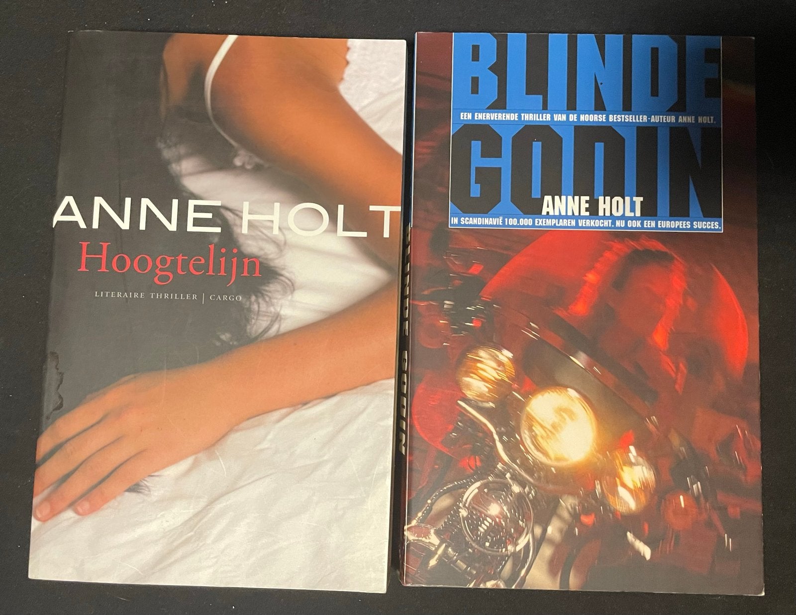 Anne Holt: Hoogtelijn & Blinde Godin - Literaire Thrillers, Ophalen of Verzenden, Gelezen, Scandinavië
