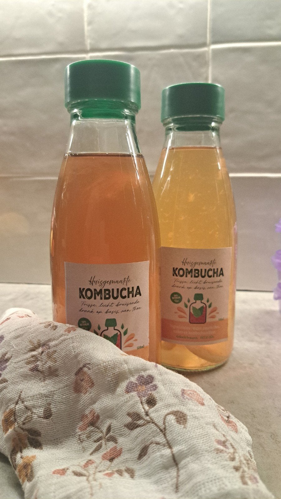Kombucha, Ophalen