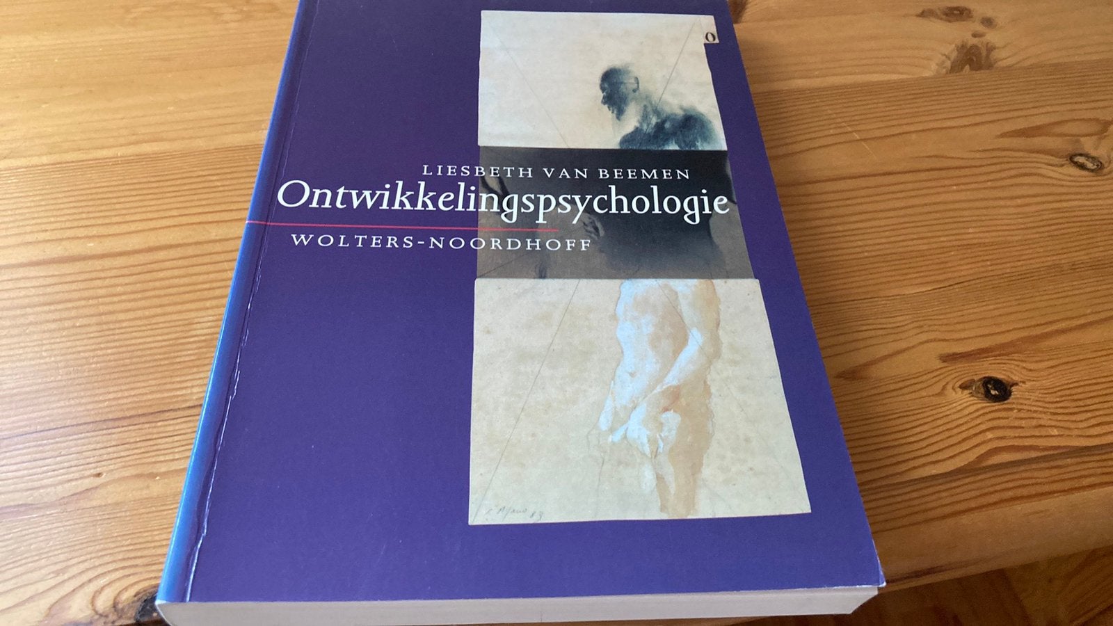 L. van Breemen - Ontwikkelingspsychologie, Boeken, Ophalen of Verzenden, Nieuw, L. van Breemen