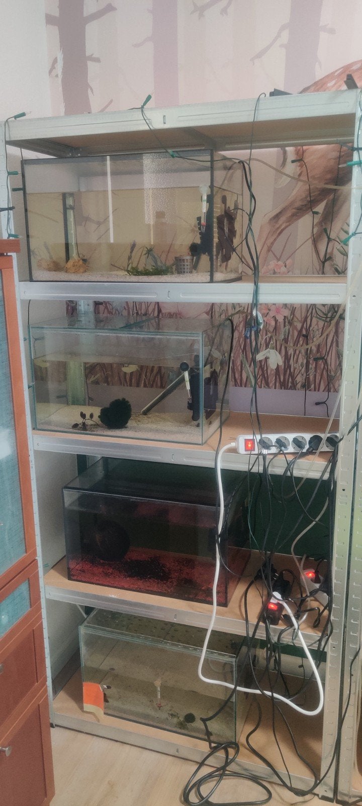 Aquariums en aquarium spullen, Ophalen