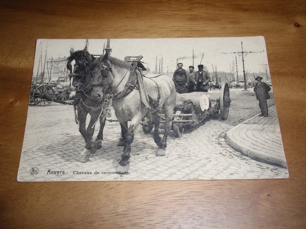 Paarden van de Coöperatie Antwerpen Paard met wagen Belgie, Verzenden, 1920 tot 1940, Gelopen, Antwerpen