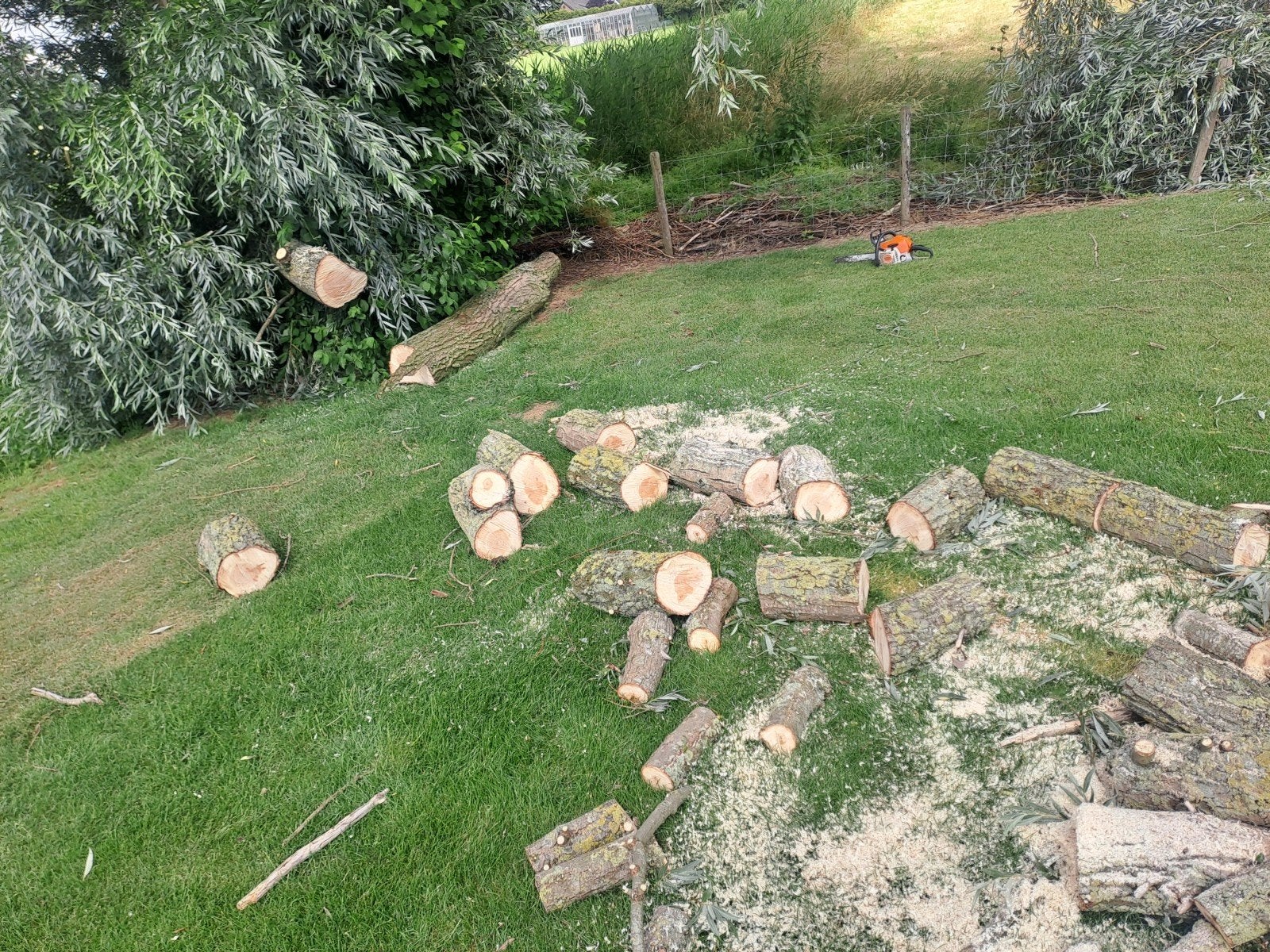 Gezaagd hout, Tuin en Terras, Minder dan 3 m³, Ophalen of Verzenden, Overige houtsoorten, Blokken