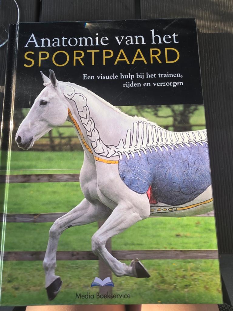 Gillian Higgins - Anatomie van het sportpaard, Gillian Higgins; Stephanie Martin, Ophalen of Verzenden, Zo goed als nieuw, Balsport