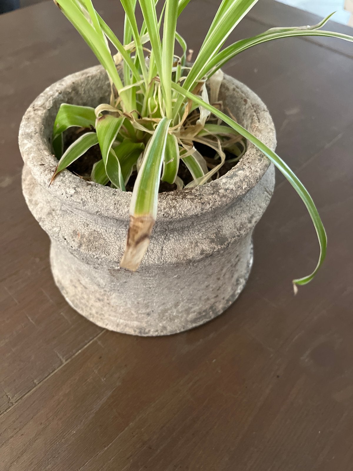 Brynxz  pot met evt plant, Ophalen, Grijs, Steen/keramiek, Met patroon/structuur