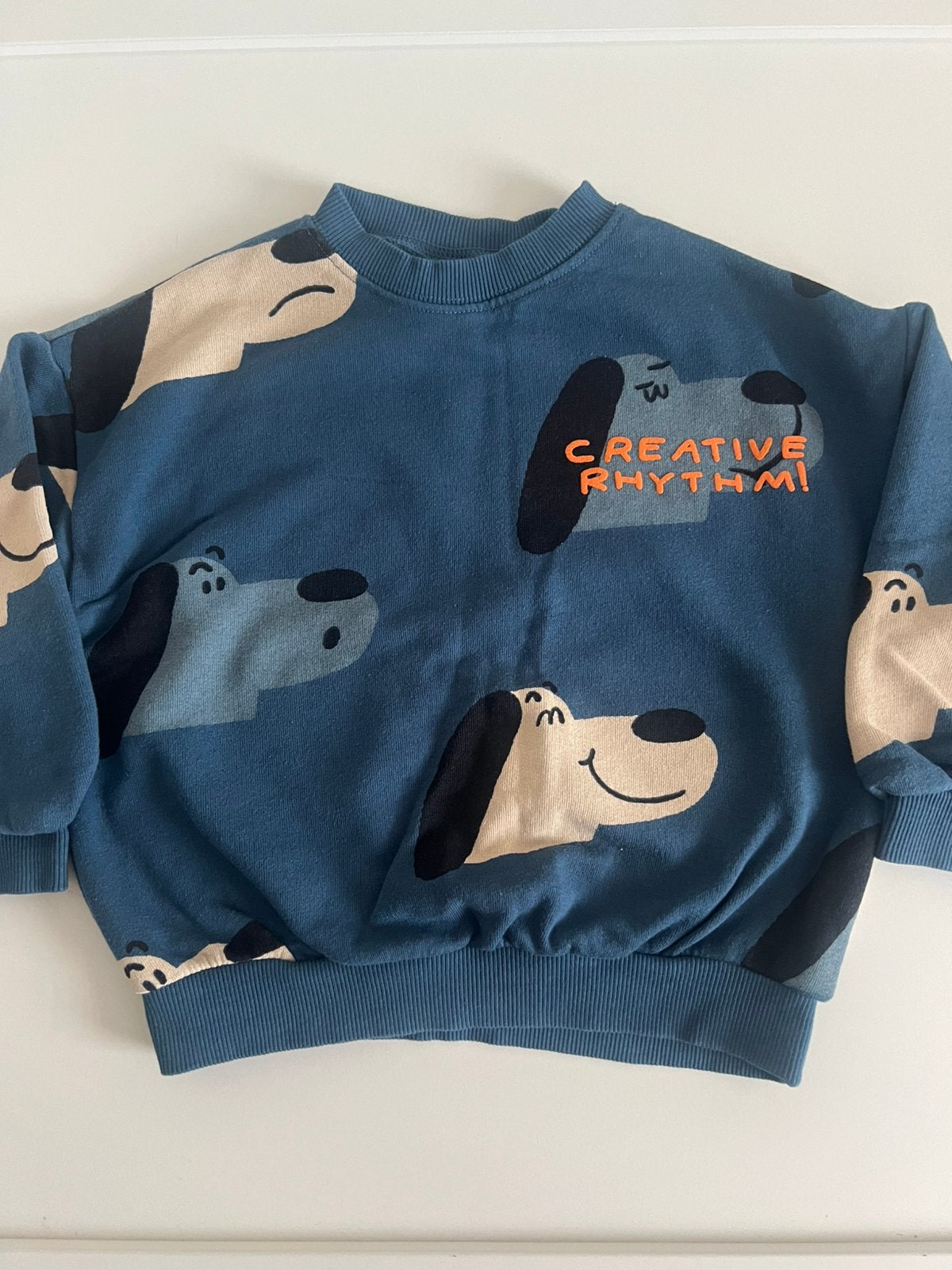 Zara kids sweater Maat 110 cm, Ophalen of Verzenden, Zo goed als nieuw, Jongen, Trui of Vest