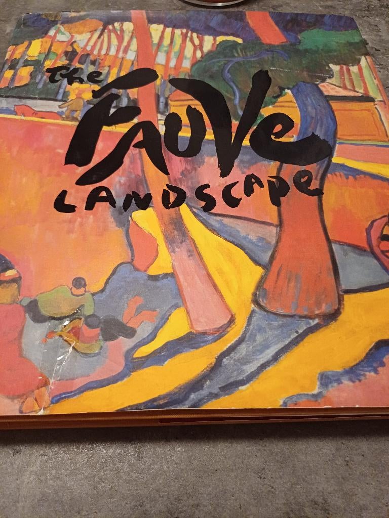 THE FAUVE LANDSCAPE, Ophalen of Verzenden, Zo goed als nieuw