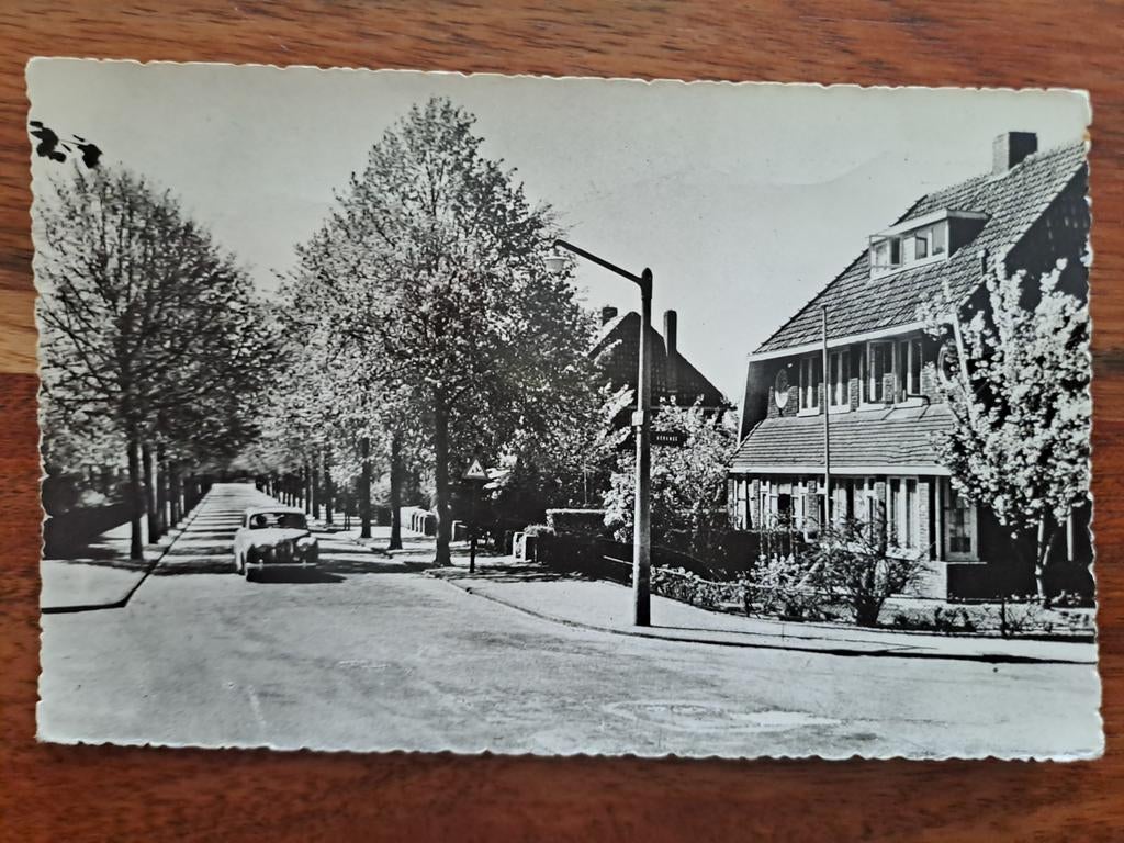 Vogelenzang,  vogelzangseweg, Ophalen of Verzenden