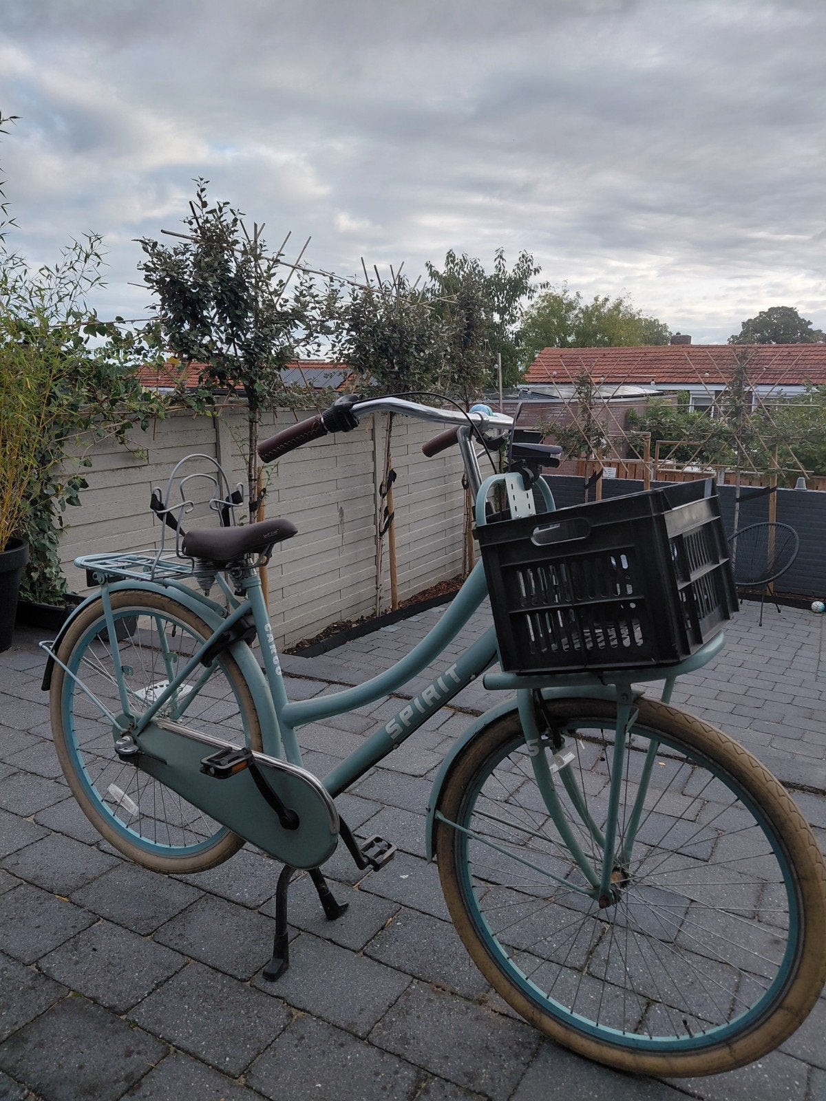 Spirit transportfiets met Nexus versnellingen en krat, Terugtraprem, Versnellingen, Ophalen, Overige merken