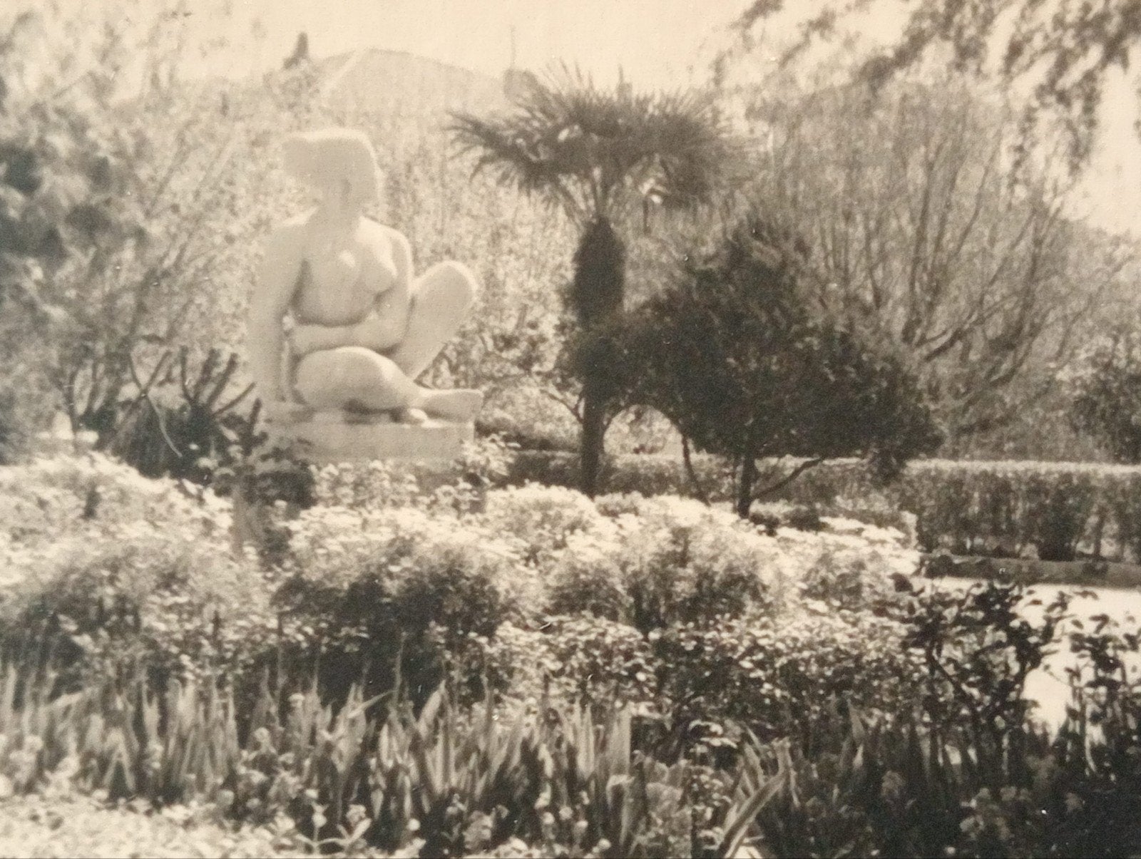 . Villefranche Frankrijk Park Tuin jaren 50, Ophalen of Verzenden, 1940 tot 1960, Gebruikt, Overige onderwerpen