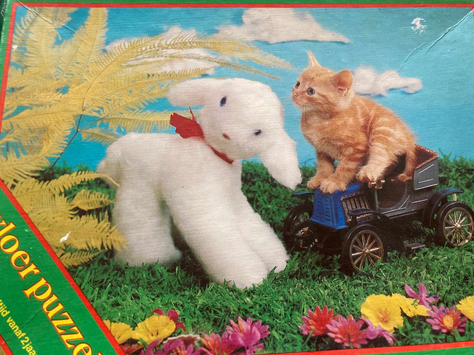 Vloerpuzzel, Ophalen of Verzenden, Minder dan 10 stukjes