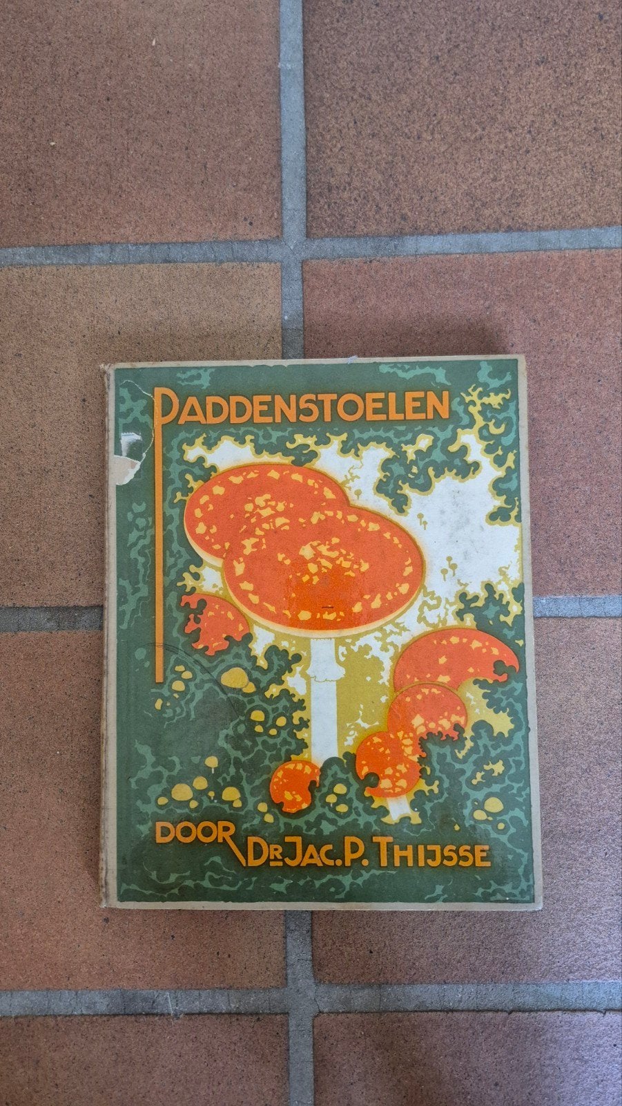 Paddenstoelen door Dr. Jac. P. Thijsse - 1921, Boeken, Ophalen of Verzenden, Gelezen, Natuur algemeen, Dr. Jac. P. Thijsse