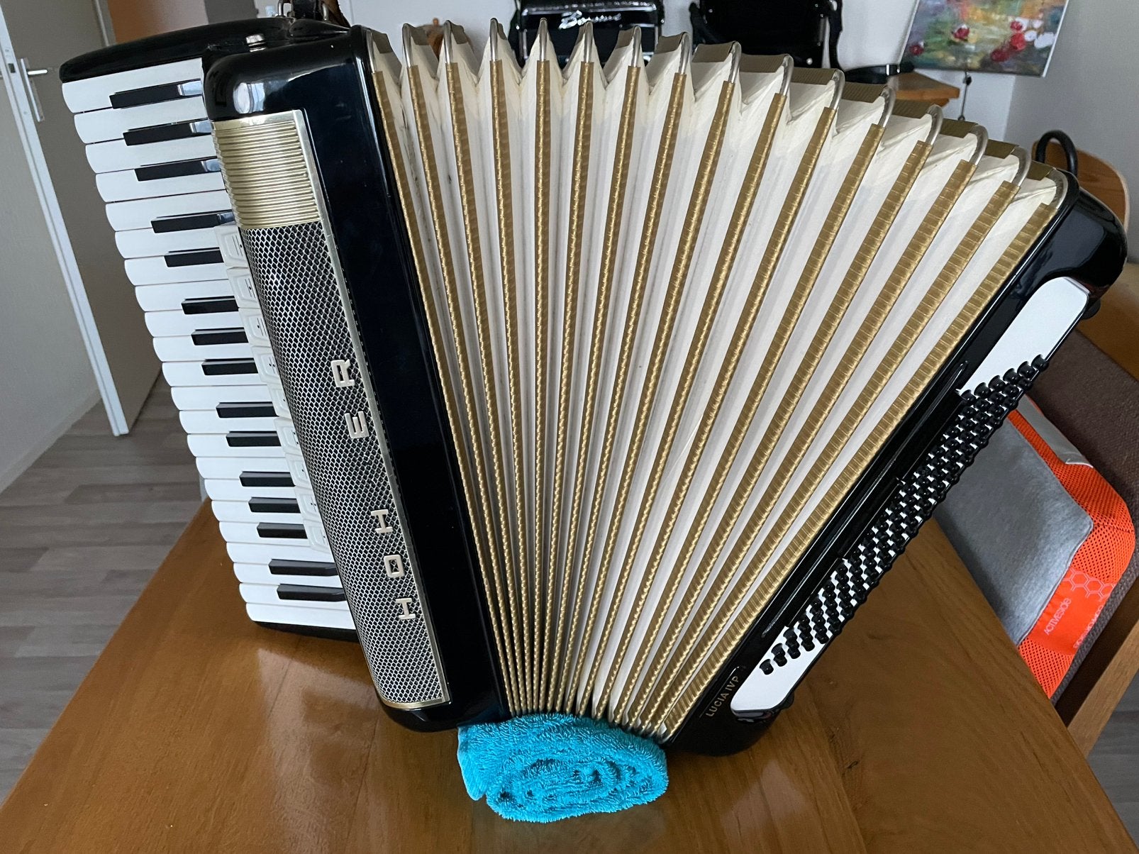 Hohner Lucia IV P Bieden lees info aub, Muziek en Instrumenten, Ophalen, Zo goed als nieuw, 96-bas, Overige merken