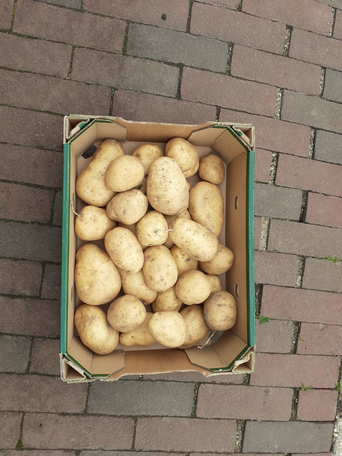 Biologische aardappelen, Ophalen