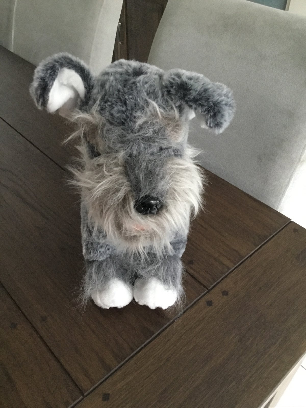 Le Mieux puppy Schnauzer Cooper NIEUW!, Ophalen of Verzenden, Nieuw, Hond