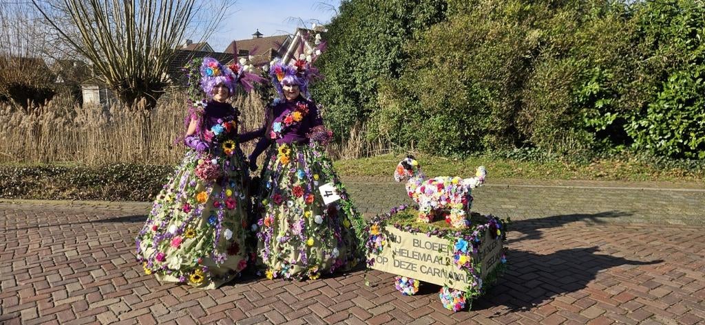 Carnavalskleding Bloemencorso - Duo Kostuums, Ophalen, Carnaval