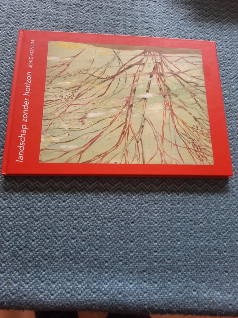 Landschap zonder horizon - Joke Konijn (Hardcover), Ophalen of Verzenden