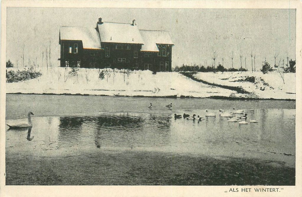 701-117-021 Ossendrecht OLV ter Duinen, Verzenden, Voor 1920, Noord-Brabant